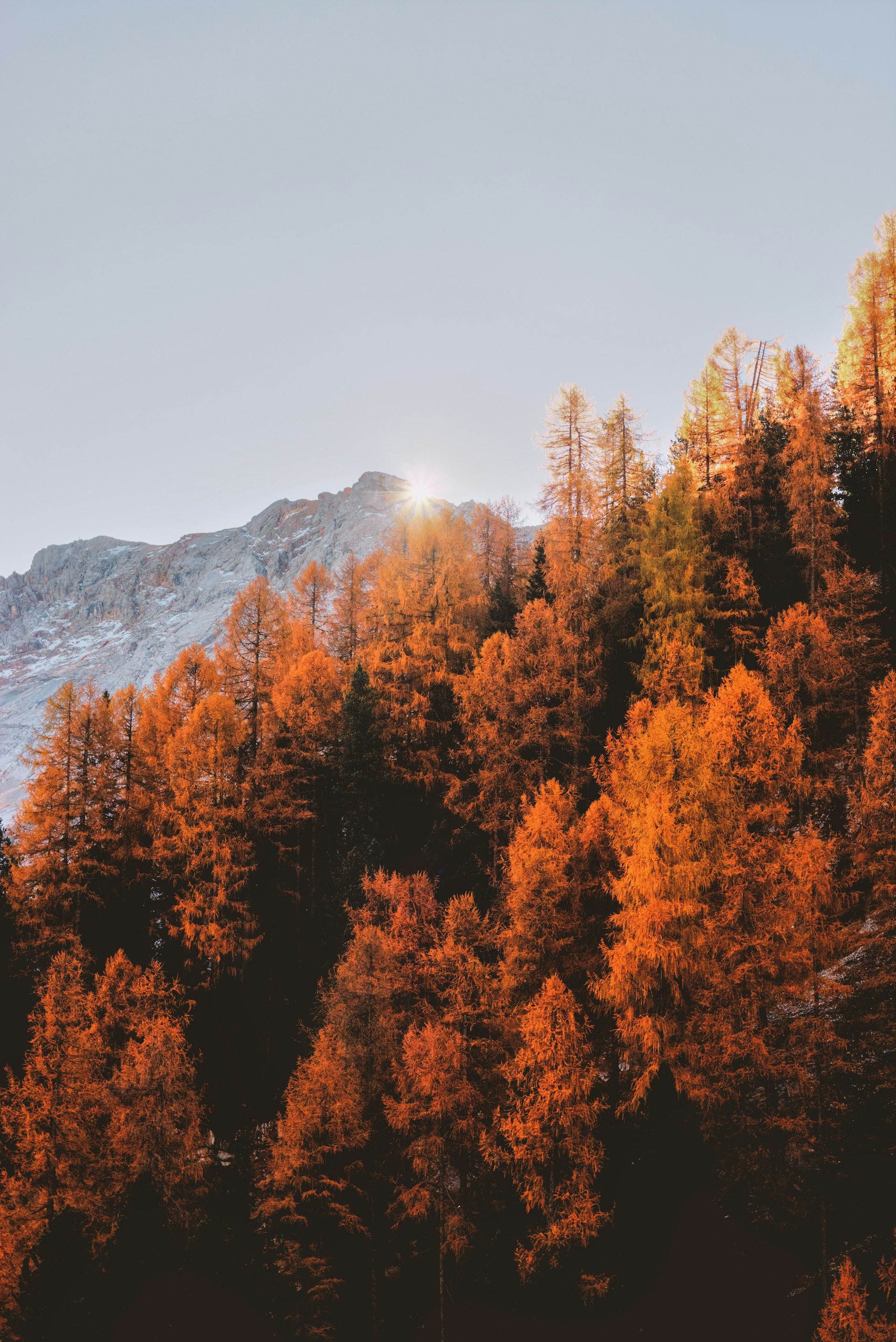 Golden autumn trees with sunlight breaking over a mountain peak